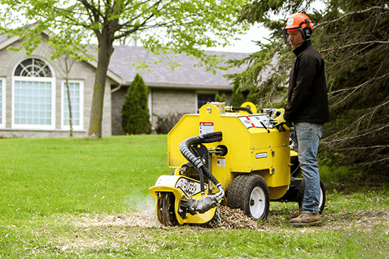 30 Hp Holt eraser stump grinder front view