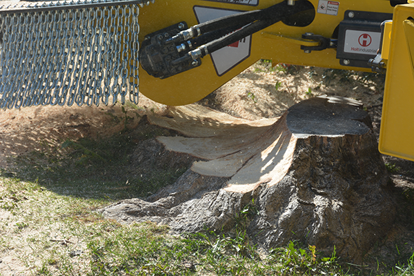 Thick steel rotor on the HGS60R anchoring the teeth