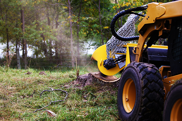  Holt eraser stumpgrinder action shield up