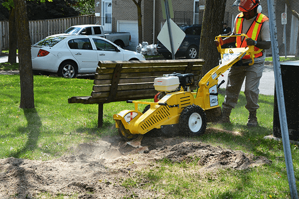 13 Hp walk behind eraser stump grinder