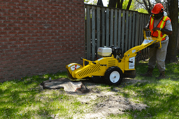HGW13 Holt eraser stump grinder