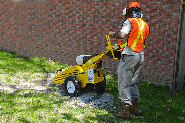 Walk behind Holt Eraser stump grinder