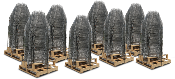 Tree Baskets on skids