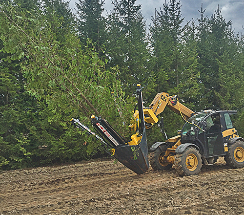 Holt 50S loader mounted tree spade carrying tree