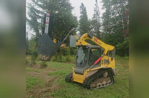 Tree spade moving tree