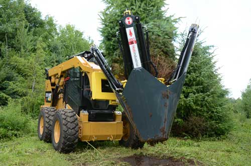 tree spade planting a tree