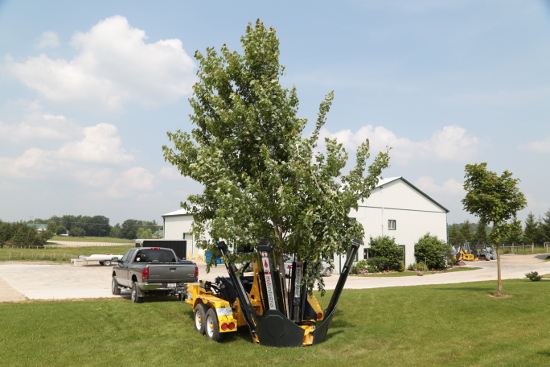 Holt M33 tree spade carrier photo