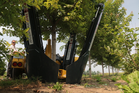 Holt M33 tree spade carrier photo